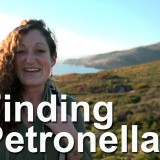Finding Petronella